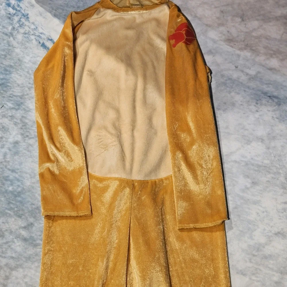 Disney Junior The Lion Guard Kion Costume Toddler Large 4-6 Jumpsuit Mask Tail